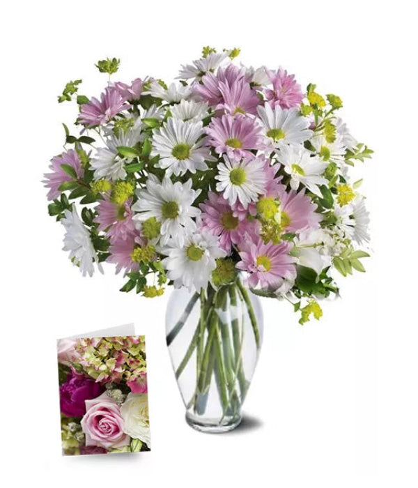 Bouquet of daisies & card