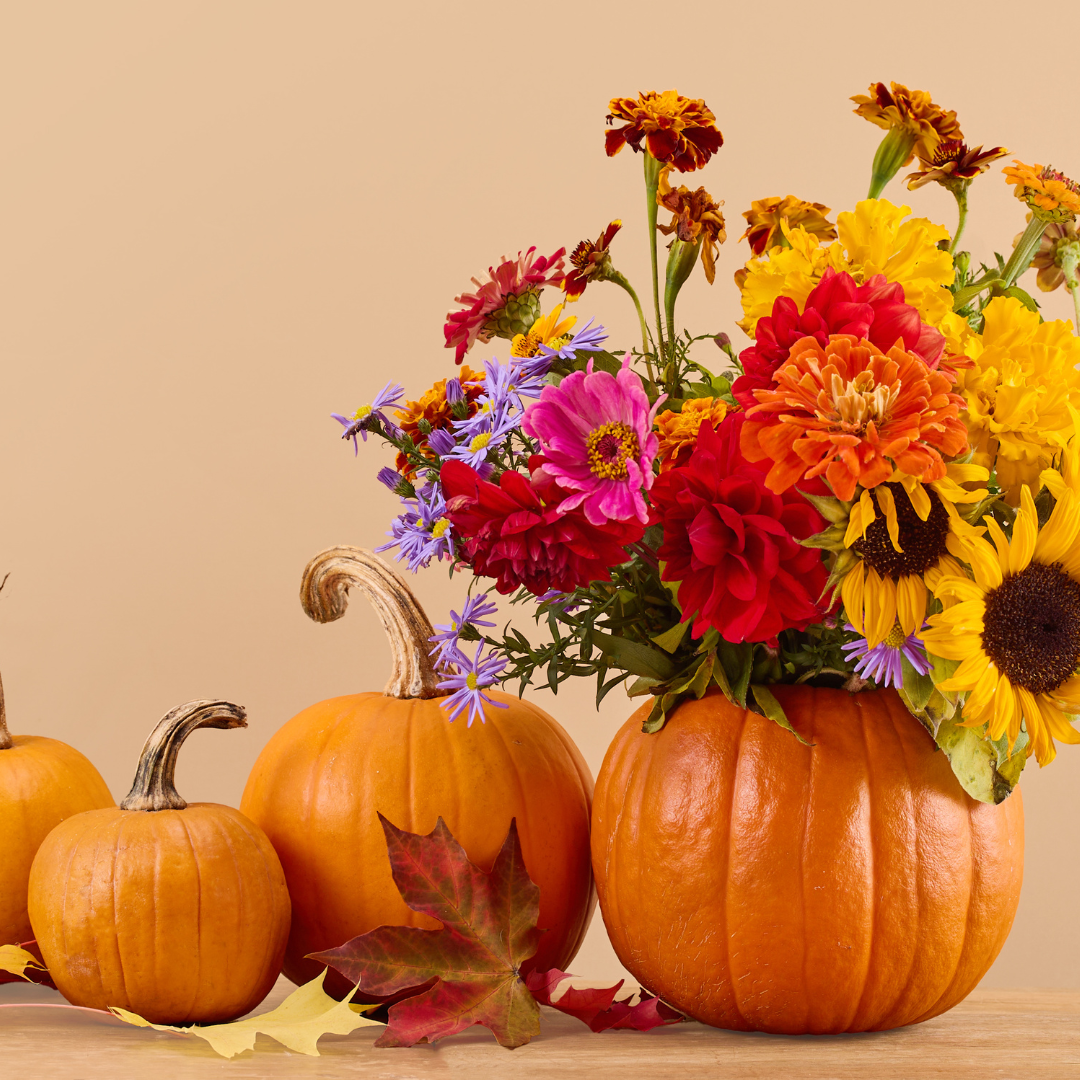 Build your own BOO-quet Workshop