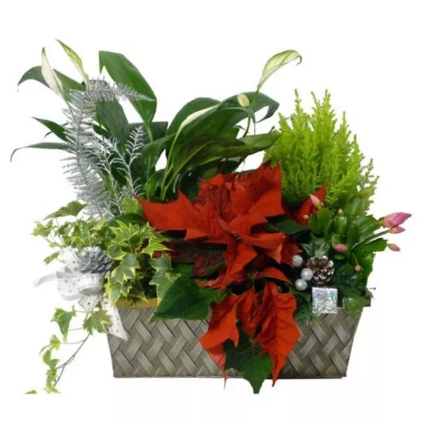 Seasons Greetings Planter Basket