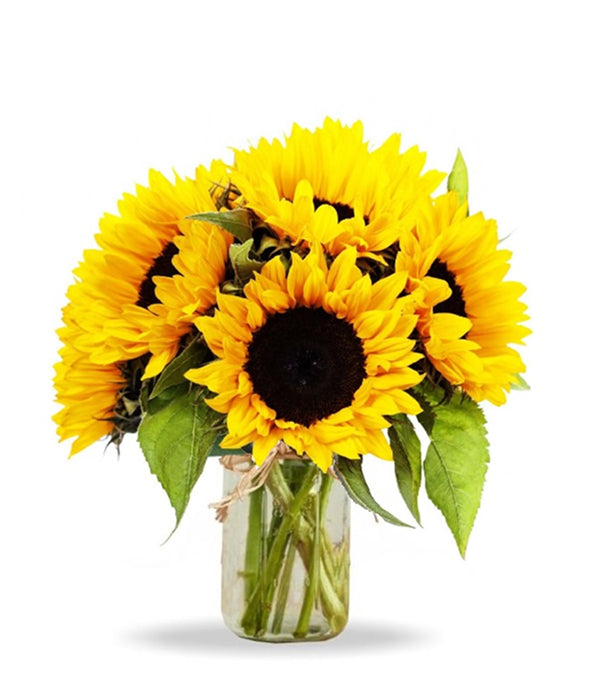 Simply Sunflowers in Mason Jar