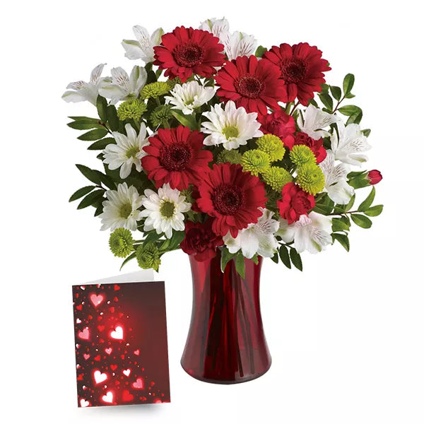 Red Gerberas & Valentine's Card in Red Vase