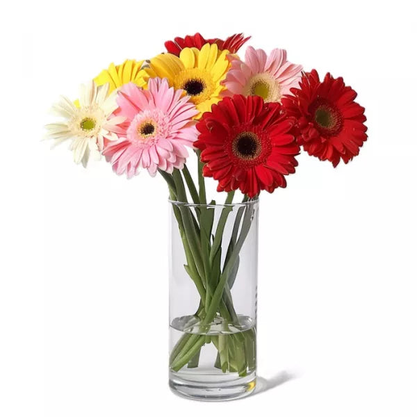 bright-gerberas