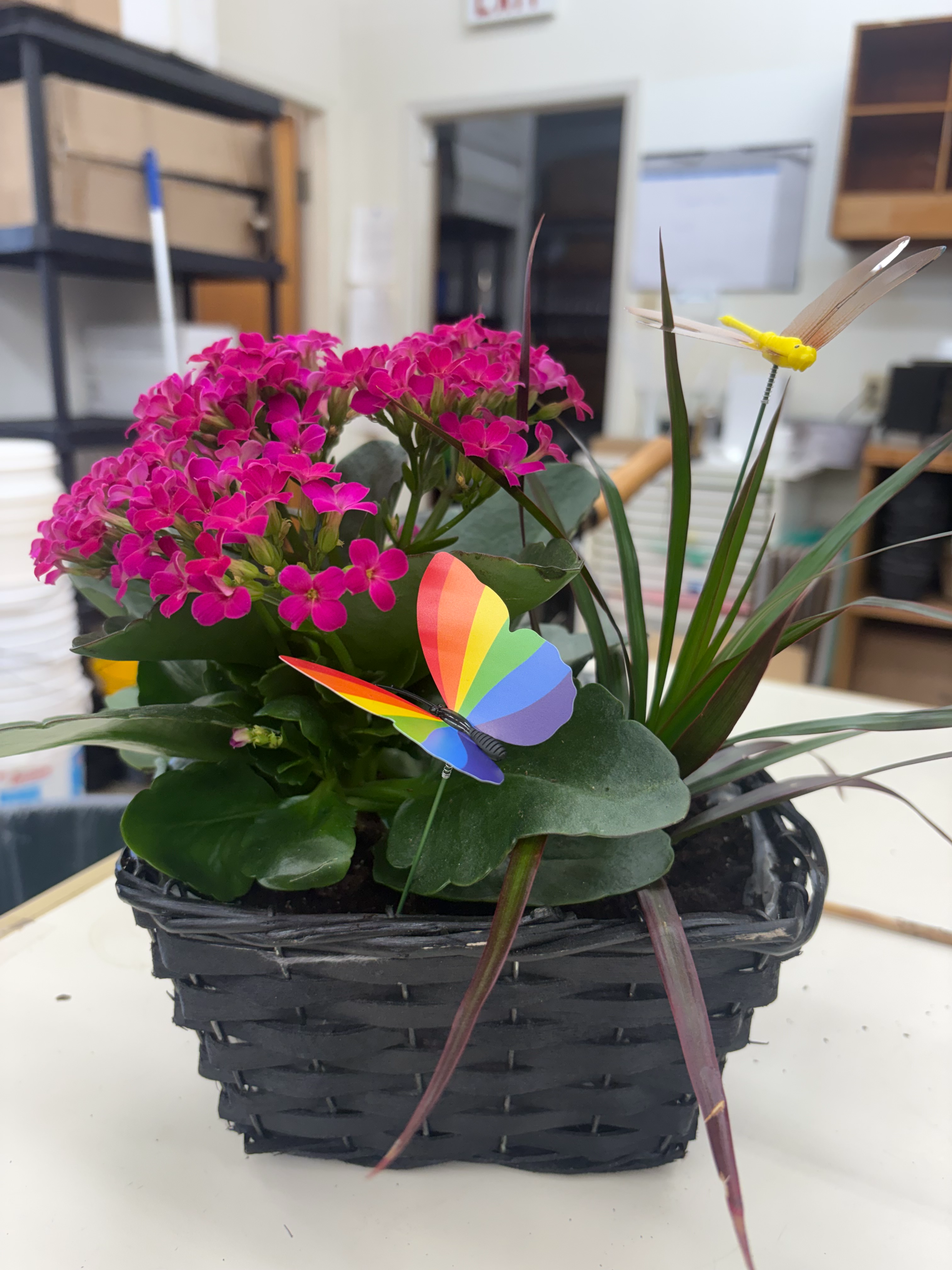 Plant Happiness | August 8th, 2026